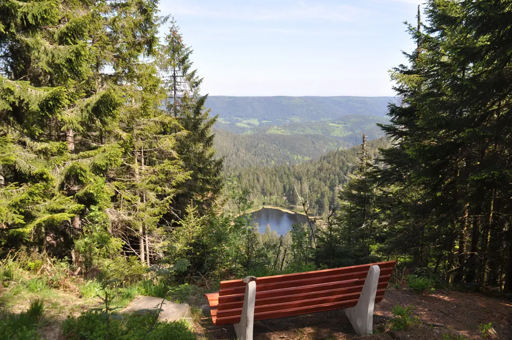 Sitzbank mit Ausblick den Schwarzwald in der Region Baiersbronn